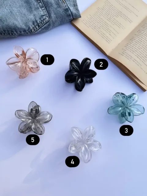 Pinterest transparent hair clutches clips