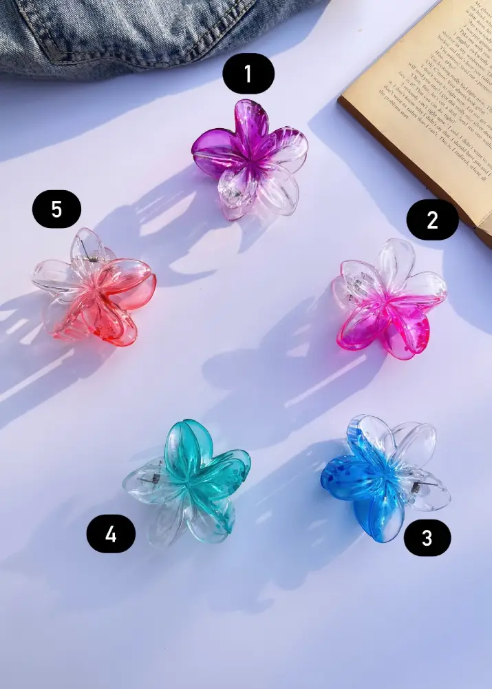 Dual Color Korean hair clutches clips